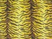 04 Tiger pattern.JPG